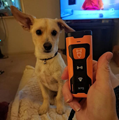 Ultrasonic Dog Training Device